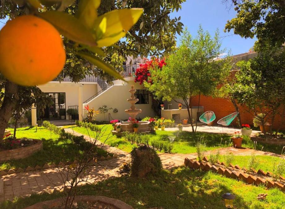 Casa Matia Bed And Breakfast 圣米格尔－德阿连德 外观 照片