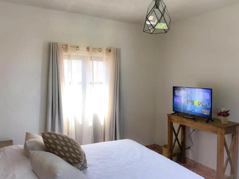 Casa Matia Bed And Breakfast 圣米格尔－德阿连德 外观 照片