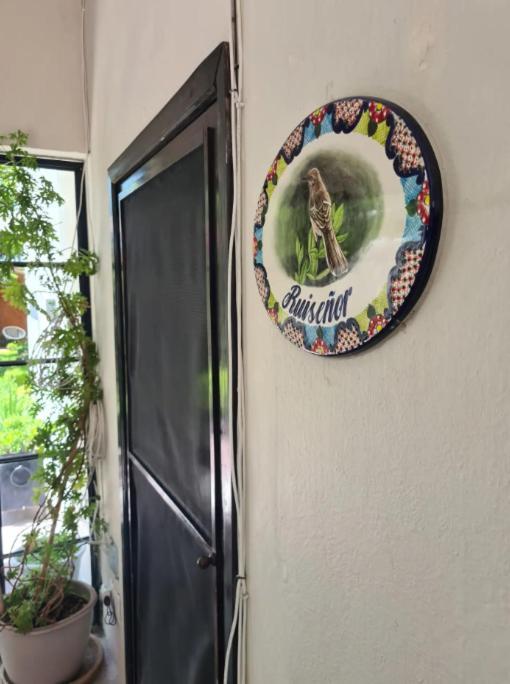 Casa Matia Bed And Breakfast 圣米格尔－德阿连德 外观 照片