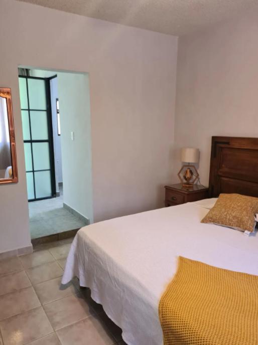 Casa Matia Bed And Breakfast 圣米格尔－德阿连德 外观 照片